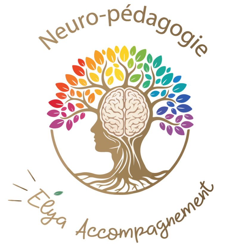 neuro-pédagogie sautron